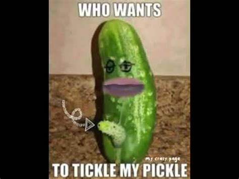 Tickle pickle. TheFreeDictionary. tickle (one's) pickle. (redirected from tickle your pickle) tickle (one's) pickle. 1. To be appealing or pleasant to someone; to be intriguing or of interest to … 