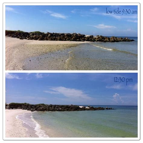 Sanibel's Chamber of Commerce recommends to go shelling around low tide. They add the seashells are more exposed, especially at low spring tides (at full and new moons) and after Gulf storms have .... 