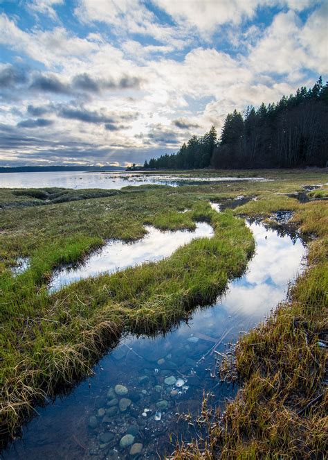 Here are 7 of the best public clamming beaches available in the Puget Sound. Oakland Bay Tidelands. Potlatch State Park/Potlatch DNR. DNR-24 (Harstine Island State Park) North Bay (Case Inlet) Twanoh State Park. Duckabush. Dabob Broad Spit. As always, make sure to check both the Department of Health and the …. 