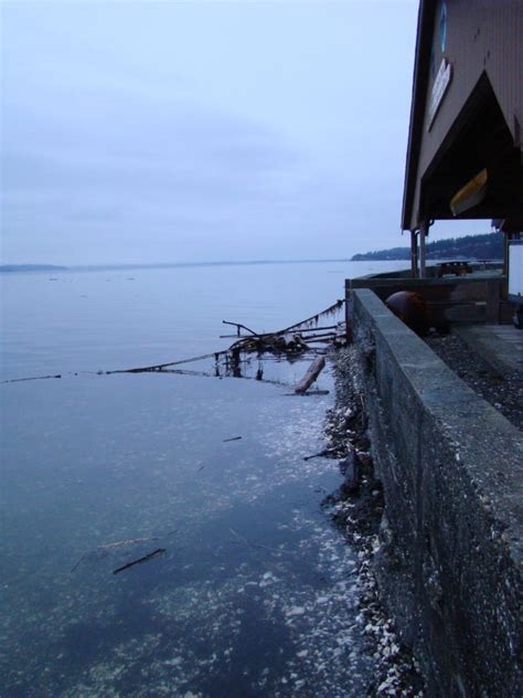 The predicted tides today for Camano (WA) are: first high tide at 4:30am , first low tide at 10:20am ; second high tide at 4:54pm , second low tide at 11:10pm 7 day Camano tide chart. 