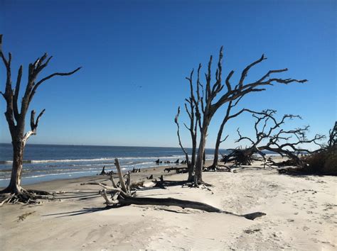 Tides jekyll island. Landfall on Seabrook Island, SC as a Cat 1 hurricane. Produced downed telegraph lines and extensive wharf/crop damage in Charleston along with 2 deaths. 1878: ... Produced a storm tide near 20 feet on Jekyll Island (with some significant flooding even around Savannah, GA), significant property damage across southeast GA and 179 U.S. deaths. 
