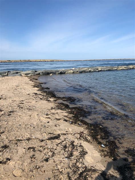Sandwich Tides updated daily. Detailed forecast tide charts and tables with past and future low and high tide times Sandwich Tide Times, MA 02563 - WillyWeather. 