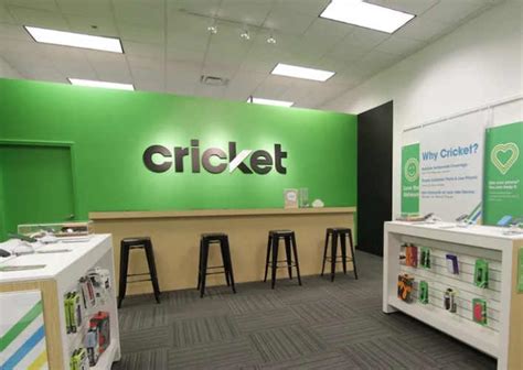 Tienda cricket más cercana de mí. Advertisement Bachhuber told his TEDx audience that the crickets reside in three different environments over the course of their seven-week life cycles. 