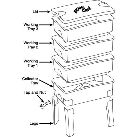 Tiered Worm Farm Setup Guide Bellarine Worms