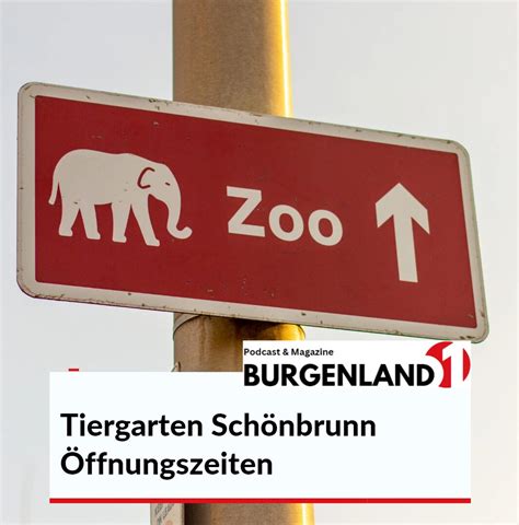 Tiergarten schönbrunn öffnungszeiten