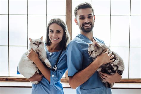 Tiermedizinische/r Fachangestellte/r • Ausbildung & Stellen