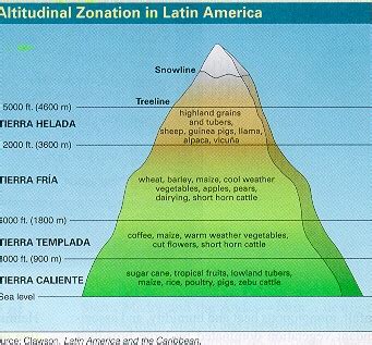 Tierra templada : definition of Tierra templada and synonyms of …