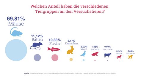 Tierversuche: Das ist die rechtliche Lage in Deutschland