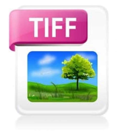 TIFF (Tag Image File Format) is an image format for editing and storing high-resolution digital images. Because it allows color depths ranging from 1 to 24 bits, TIFF is a common format for editing and raster graphics ( bitmap pictures ). TIFF files use file extensions .tiff or .tif. Photographers, graphic designers, geoengineers, scientists .... 