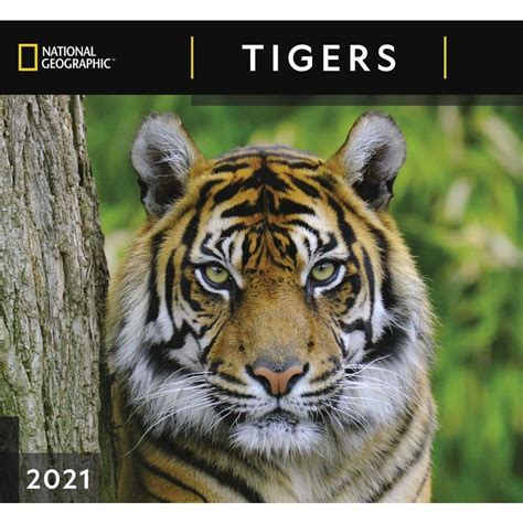 Tiger Calendar