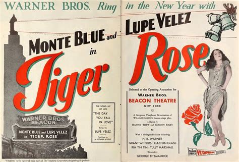 🔥 Tiger Rose (Tiger_Rose) Onlyfans Leak [SEX VIDEO]