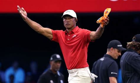 Tiger Woods Career Stats