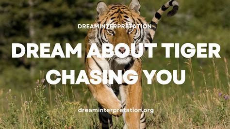 Tiger chasing dream meaning in hinduism. .  <a href=https://crm.mega-hockey.ru/svjvu/so...