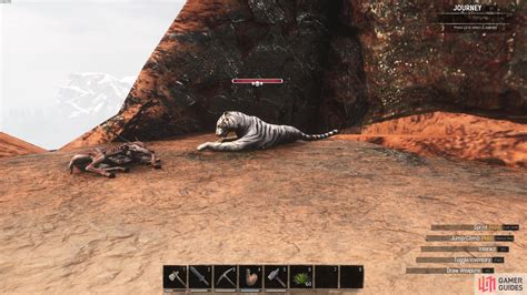Tiger conan exiles. Pets are domesticated creatures in Conan Exiles. The Player can raise a variety of pets in order to build their farm, defend their base, or explore the Exiled Lands with a trusty companion by their side. There are 5 ways to obtain certain Pets: Capturing baby creatures in the wild around the map of the Exiled Lands or the map of the Isle of Siptah. Purchasing a baby or egg from certain (rare ... 