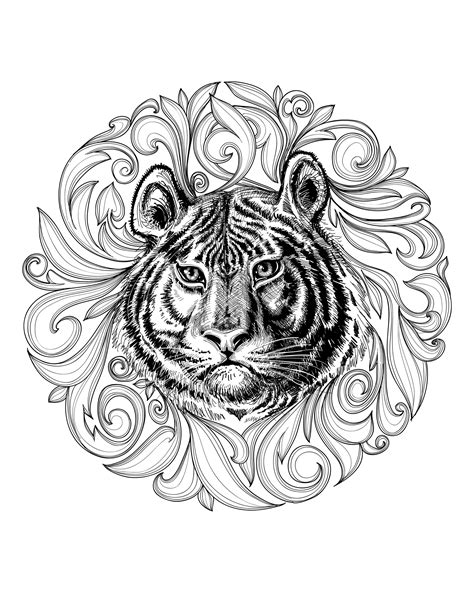Tiger leaves framework Tigers Adult Coloring Pages