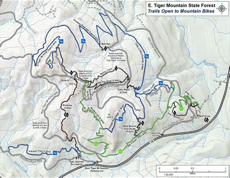 Tiger mountain trails. Hike the southernmost part of the Main Tiger Mountain Trail — the TMT — for a gentle introduction to the southern slopes of the Tigers. The trail is usable all year unless there … 