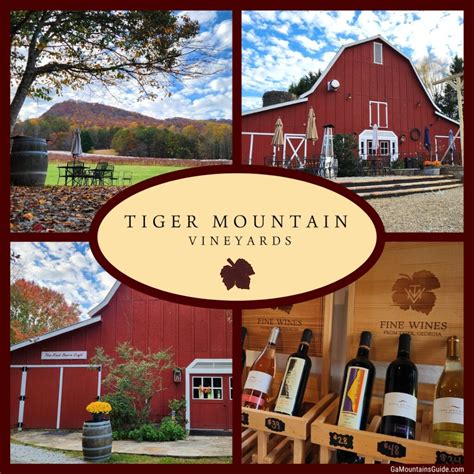Tiger mountain vineyards. Clayton, Georgia is a hidden gem in the North Georgia Wine Country, home to a multitude of small yet innovative wineries. These wineries, such as Tiger Mountain Vineyards and Stonewall Creek Vineyards, produce a diverse range of wines, including Cabernet Franc, Petit Manseng, and the region’s signature Norton. 