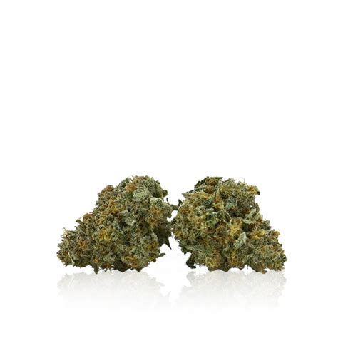 Tiger Moon is a hybrid weed strain made from a genetic cross between Tiger's Milk and S tar fighter.This strain is a well-balanced hybrid, combining qualities from both its indica and sativa ...