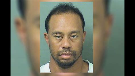 Tiger woods mug shot. tiger woods, arrest, dui, mugshot. About. Tiger Woods' Mugshot is a police booking photograph of American professional golfer Tiger Woods following his arrest for suspicion of DUI, which was widely … 