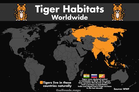 Tiger world. phone: 1-704-279-6363; email accessibility@tigerworld.us; or mail: Customer Support, Tiger World, Inc. 4400 Cook Road, Rockwell, NC 28138. Tiger World will document, consider, and, where appropriate, address accessibility issues. Tiger World is a nonprofit endangered wildlife preserve dedicated to rescue, rehabilitation, and preservation of ... 
