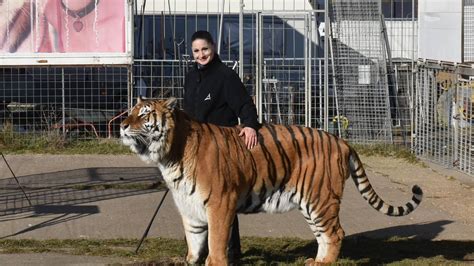 Tigerqueen_ Onlyfans Leaked XXX 🍑