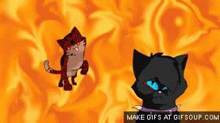 Tigerstar GIFs - Get the best GIF on GIPHY