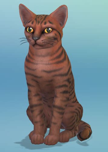 💦 Tigertulip Leaked PORN