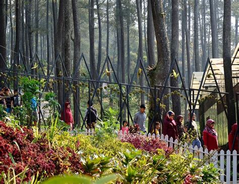 Tiket masuk orchid forest cikole 2023