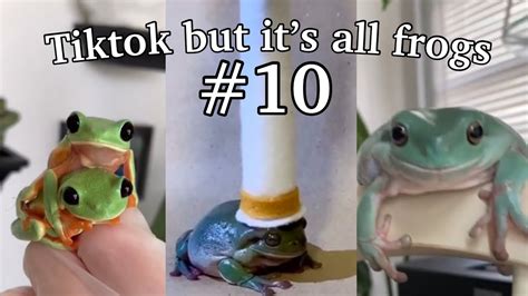 Tiktok swagger.frog. Things To Know About Tiktok swagger.frog. 