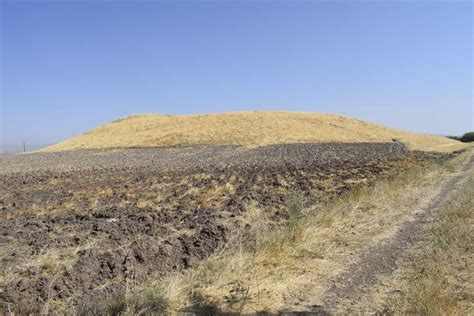 Tilenzit Halı ve Koltuk Yıkama