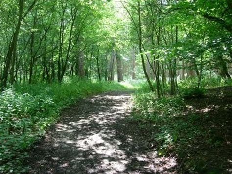 Tilgate Park - Woodland Trust