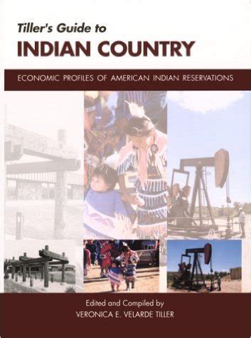 Tiller s guide to indian country economic profiles of american. - 2003 suzuki vinson 500 service manual.