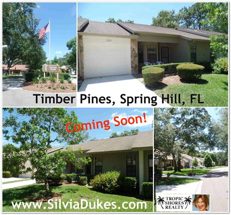 Timber pines florida homes for sale. Things To Know About Timber pines florida homes for sale. 
