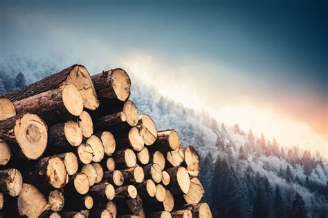 Timber reits. Things To Know About Timber reits. 