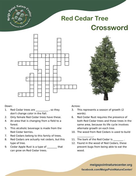 Timber tree crossword. While searching our database we found 1 possible solution for the: Eucalyptus timber tree of Western Australia crossword clue.This crossword clue was last seen on 15 September 2022 Mirror Quiz Crossword puzzle.The solution we have for Eucalyptus timber tree of Western Australia has a total of 6 letters. 