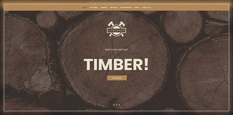 Timber wordpress