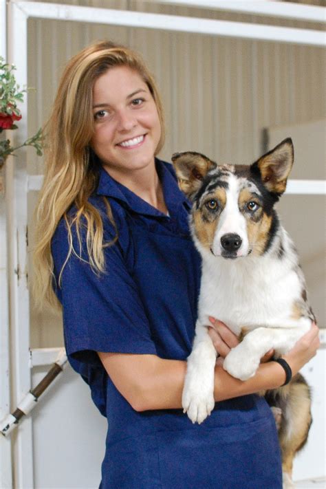 Timbercreek veterinary hospital. Things To Know About Timbercreek veterinary hospital. 