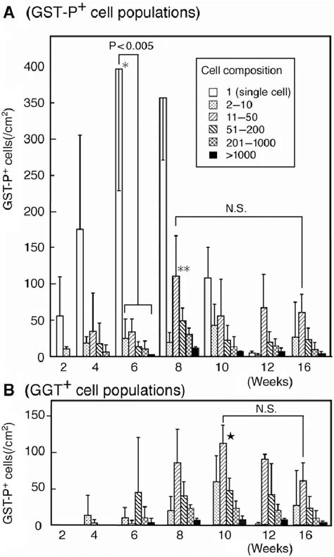 Time Course Of Size Distribution Of Precursor Cells Induced In Rat Download Scientific Diagram
