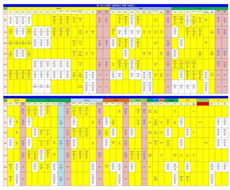 Time Table PACE IIT & Medical