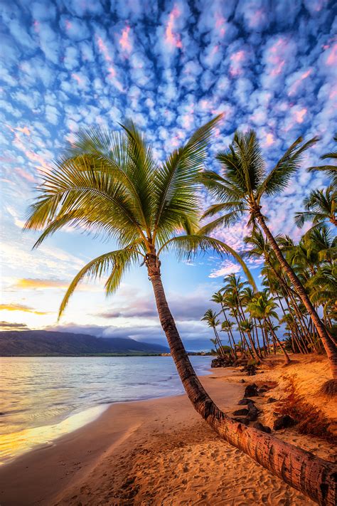 96761, Hawaii - May 2024 - Sunrise and sunset calendar Sunris