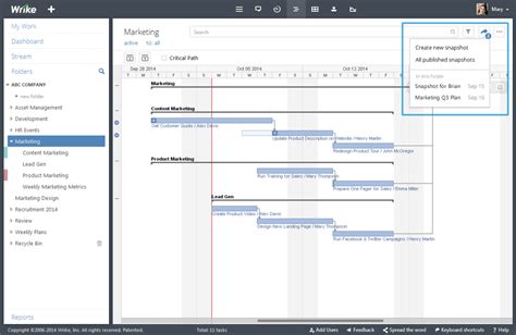 Timeline Snapshot Share Project Plans and Status with Anyone