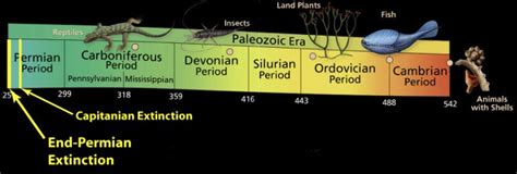 Timeline of the end-Permian extinction Science Sessions …