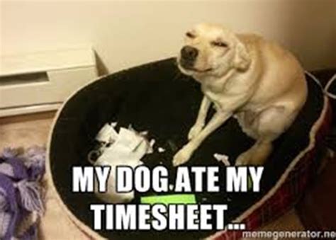 35 wacky timesheet memes to make you ROFL (2024) We've scoured the internet to bring you 35 hilarious timesheet memes that are bound to get you laughing, and they're not all reminders to fill your timesheets.. 