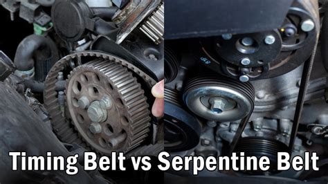 Timing Belt vs Serpentine Belt MySynchrony