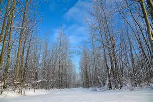 Timmins obituaries.  Mar 12, 2025 · Timmins Obituaries on TimminsToday.  Leave message...