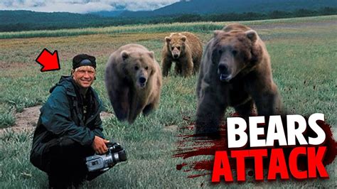 Film director listens to 'Grizzly Man's' harrowing final moments before he was eaten alive by bear. The harrowing audio recorded the moment Timothy and his girlfriend Annie were killed by a bear .... 