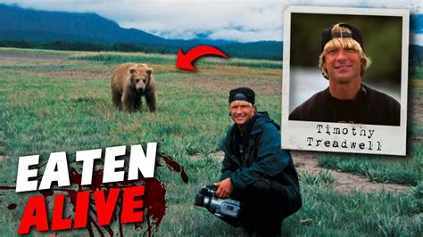 Timothy treadwell video eaten alive. What did Timothy Treadwell eat? At the end of summer 2003, at 46 years old, Treadwell and his girlfriend Amie Huguenard were killed and almost fully eaten by a 28-year-old bear, whose stomach was later found to contain human remains and clothing. ... But in most face-to-face encounters, bears will not attack you and they won’t eat you … 