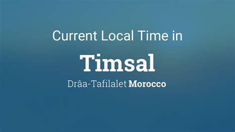 Timsal Halı ve Koltuk Yıkama