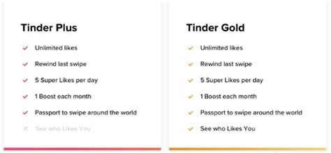 Tinder Gold your tinder subscription