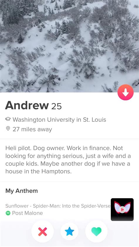 Tinder Profile Template Download Bickersteth Blog